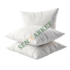 Coussin